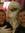 member photo member photo