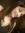 Aashima