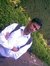 Arun