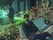 Mohit