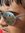 Piyush
