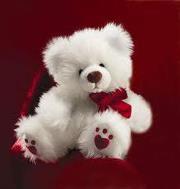 Sudha