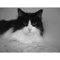 Latoya