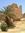 Abdellah