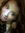 Keely