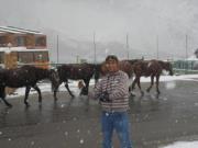 Saurav