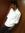 Seshu