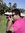 Anand