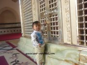 Amir