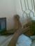 Rida