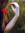 Victoria (victorialove) | 5 comments