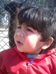 Naveed