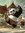 Santhosh