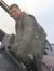 Bulent