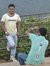 Javed