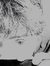 Alper