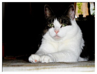 Goodreads profile picture for @marta