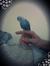 Dea