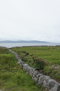 Immersednbooks (Kristen) Lynn