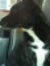 Adina R...
