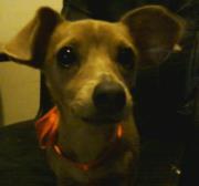 Ginny