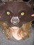 Sissel