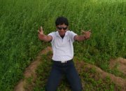 Gopal