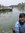 Rutul