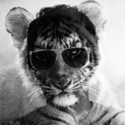 Goodreads profile picture for @siesta