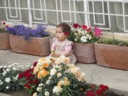Nabaz