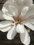 Margaret