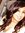 Humera