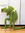 member photo member photo