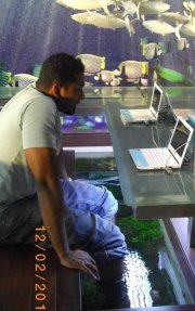 Naveen