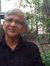 Vidur