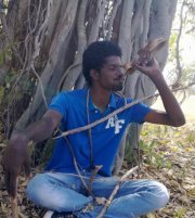 Havil
