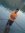 Arpit