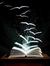Your Need To Read