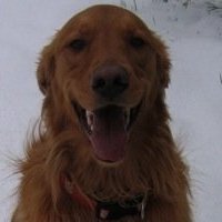 Deb
