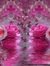 Abeer