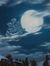 V.H