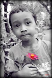 Awaludin