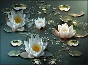 Syeda