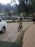 Vinoth