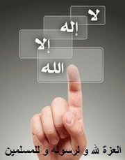 wael Mohamed