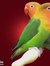 Mostafa