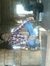 Balvir