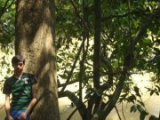 Anand