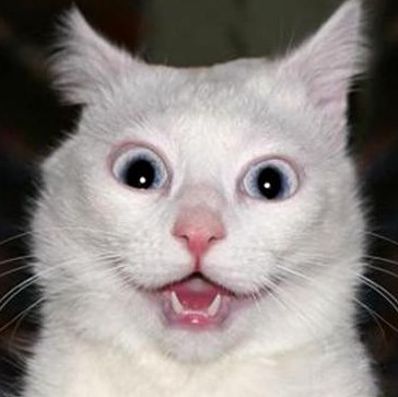 Goodreads profile picture for @hobart