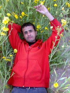 نسيم العديني